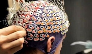 ทดลองศึกษาด้านวิทยาศาสตร์ การสร้างแผนที่สมอง