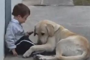 เด็กชายป่วยเป็นดาวน์ซินโดรมกำลังนั่งเล่นอยู่กับสุนัขที่กำลังพยายามปลอบโยนจิตใจของเด็กน้อย