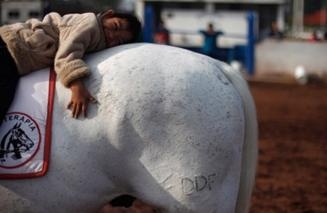 เด็กชายนอนเล่นบนหลังม้า