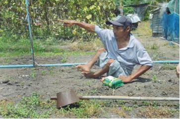 นาย เจริญ วงษ์ษา อายุ 50 ปีพิการโปลิโอขาลีบ  กำลังทำสวนปลูกผัก