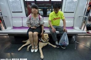 สุนัขนำทาง และผู้พิการทางสายตาบนรถไฟใต้ดิน