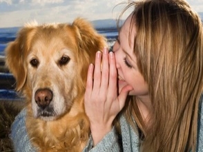 คนกระซิบข้างหูของสุนัข