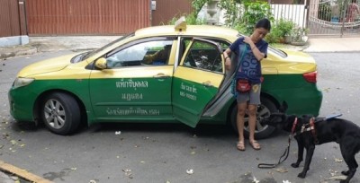 สาวพิการทางสายตาเรียกแท็กซี่ แต่ถูกปฎิเสธ 4 คัน