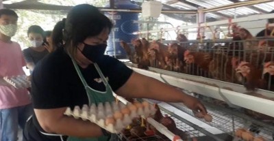 แห่ซื้อไข่ไก่ราคาถูก ฝีมือเลี้ยงของเด็กพิการหูหนวก