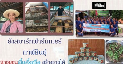 ยังสมาร์ทฟาร์มเมอร์ กาฬสินธุ์ นำชุมชนเลี้ยงจิ้งหรีด สร้างรายได้เดือนละล้านสู่ชุมชน