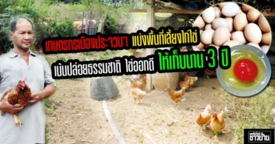 เกษตรกรเมืองประจวบฯ แบ่งพื้นที่เลี้ยงไก่ไข่ เน้นปล่อยธรรมชาติ ไข่ออกดี ให้เก็บนาน 3 ปี