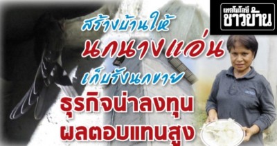 สร้างบ้านเพื่อให้นกนางแอ่นอาศัย ธุรกิจน่าลงทุน ให้ผลตอบแทนสูง