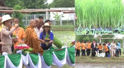 ปลูกข้าวปลูกปัญญาสร้างอาชีพเด็กพิการ