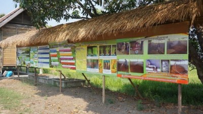 หนุ่มนครชัยศรี กลับบ้านเกิดพลิกที่นา 60 ไร่ ทำเกษตรผสมผสาน สร้างแหล่งอาหารปลอดภัยชานกรุง