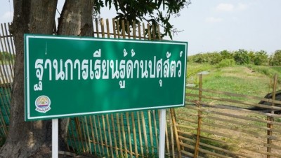 หนุ่มนครชัยศรี กลับบ้านเกิดพลิกที่นา 60 ไร่ ทำเกษตรผสมผสาน สร้างแหล่งอาหารปลอดภัยชานกรุง