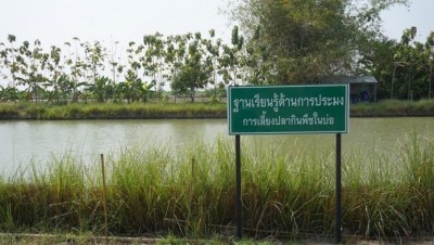 หนุ่มนครชัยศรี กลับบ้านเกิดพลิกที่นา 60 ไร่ ทำเกษตรผสมผสาน สร้างแหล่งอาหารปลอดภัยชานกรุง