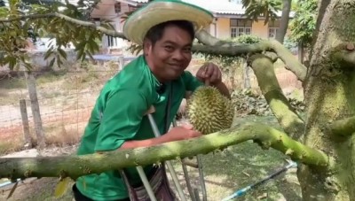 “หนุ่มพิการสี่ขา” สู้ชีวิต ปลูกทุเรียนภูแลนคา สร้างแรงบันดาลใจ เส้นทางท่องเที่ยวชัยภูมิ