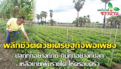พลิกชีวิตด้วยเศรษฐกิจพอเพียง ปลูกทุกอย่างที่กิน กินทุกอย่างที่ปลูก เหลือขายเพิ่มรายได้ให้ครอบครัว