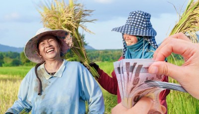 เกษตรกรเช็กสิทธิ์ผ่านสำนักงานเศรษฐกิจการเกษตร รู้ผล บอกวันได้เงิน 5 พันทันที