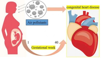 ผลวิจัย ชี้ PM2.5 เสี่ยงทารก พิการแรกคลอด โรคหัวใจพิการแต่กำเนิดสูง