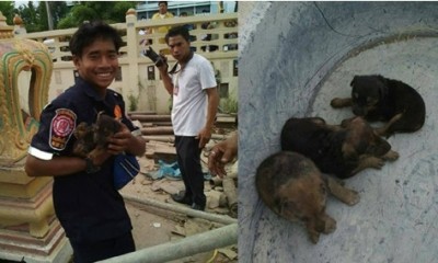 หนุ่มกู้ภัยหูหนวก ช่วยลูกสุนัขจากซากโบสถ์ถล่ม