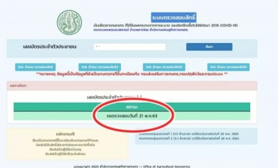 เกษตรกรเช็กสิทธิ์ผ่านสำนักงานเศรษฐกิจการเกษตร รู้ผล บอกวันได้เงิน 5 พันทันที