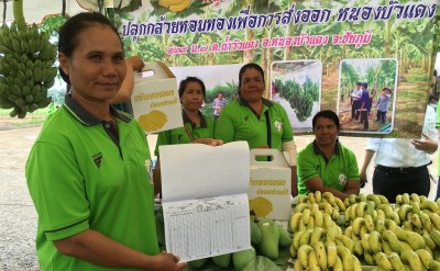 โครงสร้าง “ชัยภูมิโมเดล” ของกระทรวงพาณิชย์