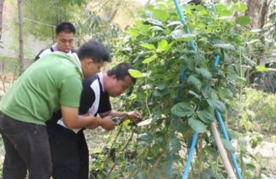 ที่โรงเรียนการศึกษาคนตาบอดลำปางนักเรียนกำลังเรียนวิชาเกษตรที่แปลงผัก