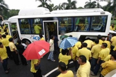 รถเมล์ NGV