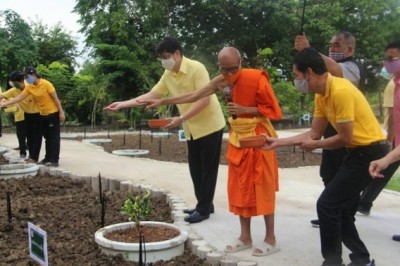พุทธเกษตร ใช้พื้นที่ในวัดปลูกผักระยะสั้นปลอดสารพิษสู้วิกฤติโควิด 19