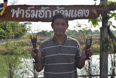 คุณวิศรุต ใจเมือง