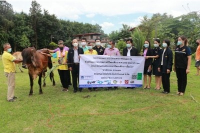 บึงกาฬ จัดหางานส่งมอบ ‘โคพันธุ์บราห์มัน’ ให้ผู้พิการ เพื่อใช้ประกอบอาชีพ