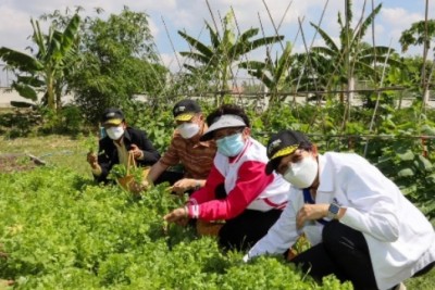 โอสถสภา จับมือภาคีเครือข่ายต่อยอดโมเดลศูนย์เกษตรอินทรีย์คนพิการ