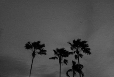 เผย'กทม.ปริมณฑล'ฝนยังตก ไต้ฝุ่น'ซาเระกา'เข้า'ตังเกี๋ย'