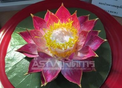 ตรงกลางเกสรบัวเป็นหลอดไฟ LED สามารถเปิดเสริมความสวยงาม