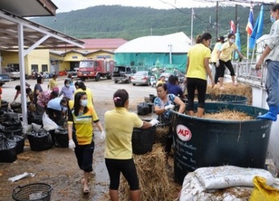 ตราดเสริมอาชีพผู้พิการ-ผู้สูงอายุเพาะเห็ดฟาง