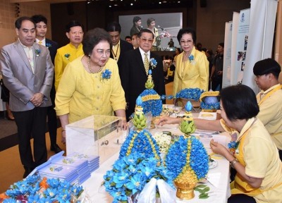 สภาสังคมสงเคราะห์ฯ ร่วมกับมหาวิทยาลัย จัดฝึกอาชีพคนพิการ