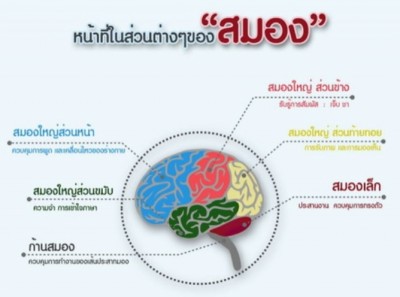 โรคหลอดเลือดสมอง