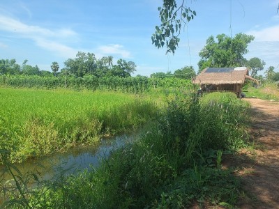 จัดพื้นที่ส่วนหนึ่งปลูกบ้านพัก สร้างโรงเรือนเก็บวัสดุอุปกรณ์การเกษตร