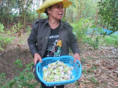2 สามีภรรยา ทำไร่นาสวนผสมเกษตรทฤษฎีใหม่ มีเหลือ “กิน แจก แลก ขาย” แถมส่งลูกเรียนจบปริญญาโท 2 คน