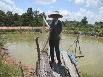 เกษตรกรรมทางเลือกสุวรรณภูมิน้อมนำเกษตรทฤษฎีใหม่อยู่อย่างพอเพียง