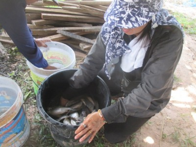 เกษตรกรรมทางเลือกสุวรรณภูมิน้อมนำเกษตรทฤษฎีใหม่อยู่อย่างพอเพียง