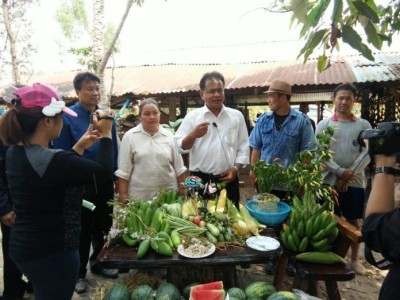 พืชผักอุดมสมบูรณ์