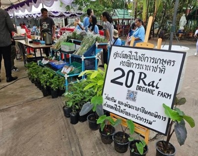 เปิดรับด่วน! 3หลักสูตรสุดฮิต สถาบันอาชีพคนพิการนานาชาติฯ ฝึกทักษะ พร้อมหนุนสร้าง – ส่งเสริมอาชีพ