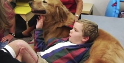 เด็กชายวัย 6 ขวบ กับสุนัขบำบัดพันธุ์โกลเด้น รีทรีฟเวอร์