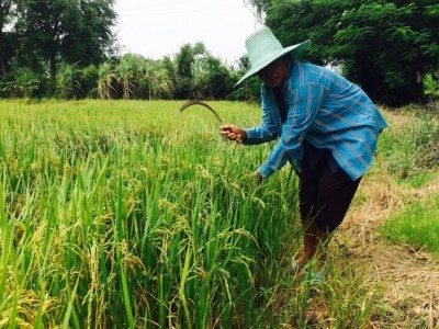 กรมตรวจบัญชีสหกรณ์ เซ็นMOUกับกรมส่งเสริมสหกรณ์-ธกส.จัดการฐานข้อมูลสหกรณ์-เกษตรกรทั่วไทย