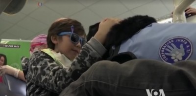 ทันตแพทย์ชาวชิลีปิ๊งไอเดียใช้ 'สุนัข' ช่วยเด็กพิเศษหายกลัวขณะทำฟัน
