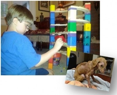 หนุ่มน้อย Jonny เด็กชายออทิสติก กับสุนัขเจ้า Xena ก่อนนำตัวมารักษา