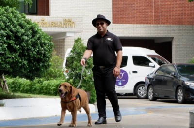 พก.เดินหน้าจัดบริการสุนัขนำทางในไทย